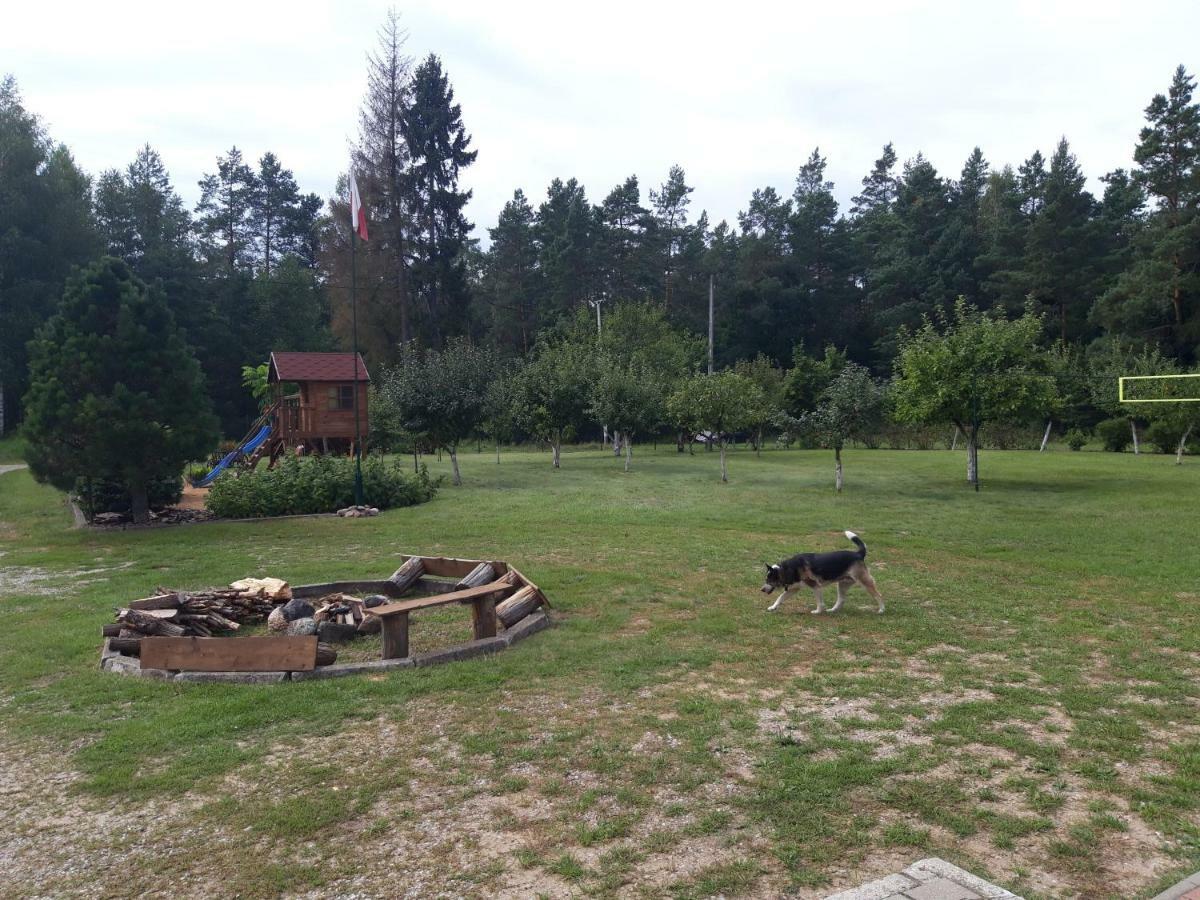 Pokoje W Lesie Miłomłyn 外观 照片